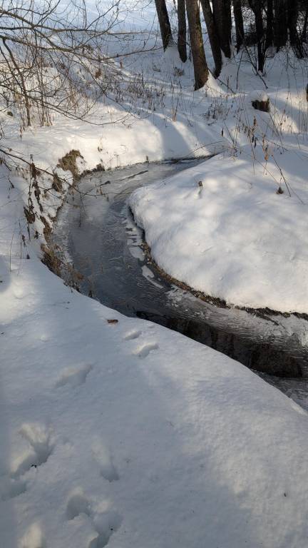 Ferienwohnung  Eging am See