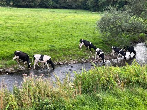 Bed & Breakfast Warstein