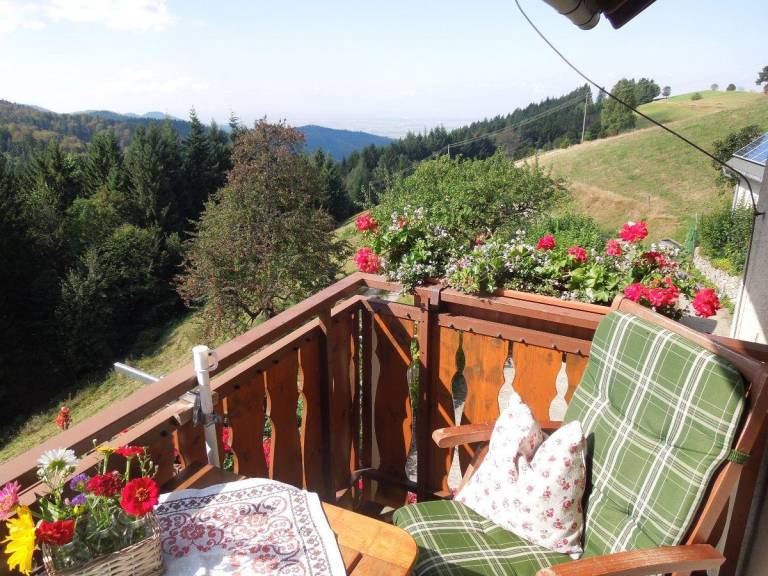 foto11