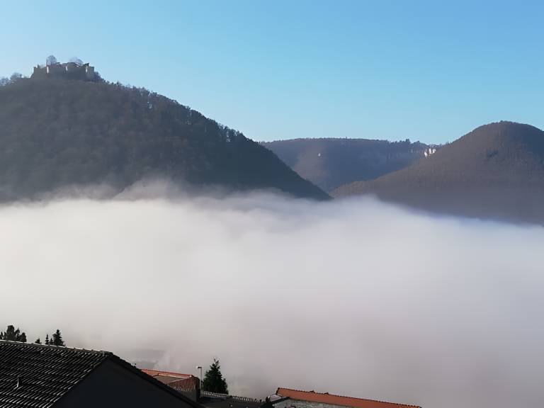 foto6