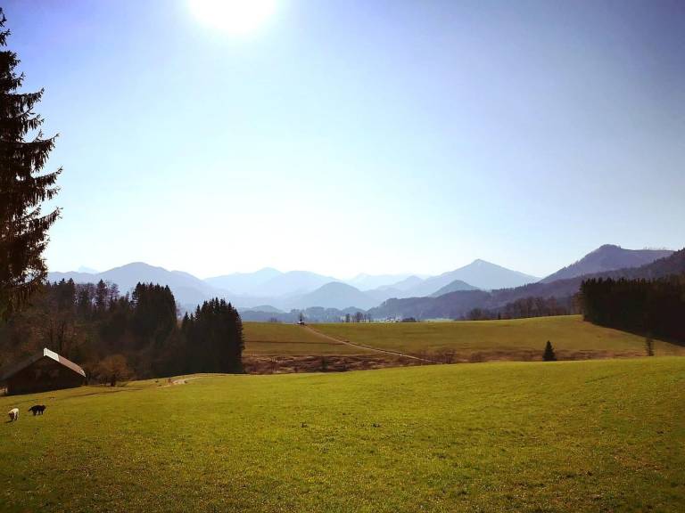 foto11