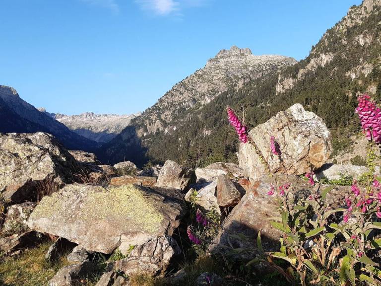 Apartamento Cauterets
