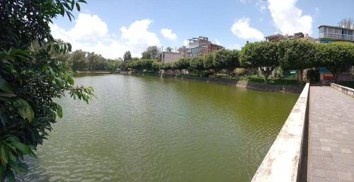 foto4