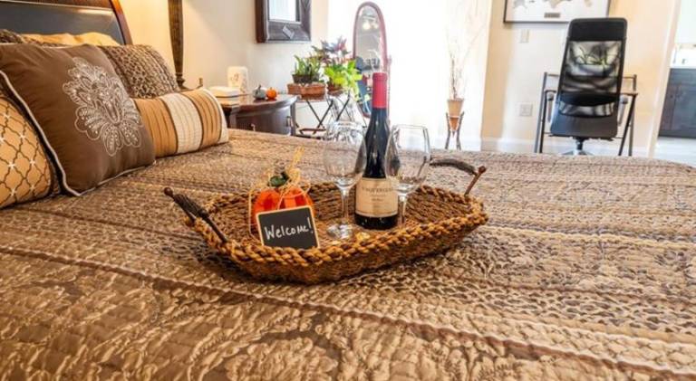 College Park Orlando 5Star Villa Oasis Home Away From Home QUIET Neighborhood PRIVATE Botanical