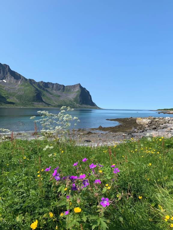 Ferienhaus  Senja