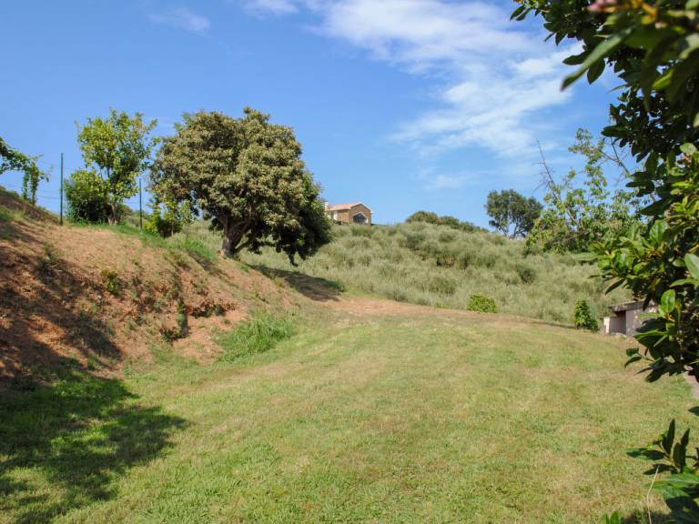 foto23