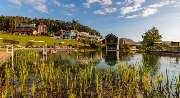 Pfalzblick Wald Spa Resort in Hauenstein