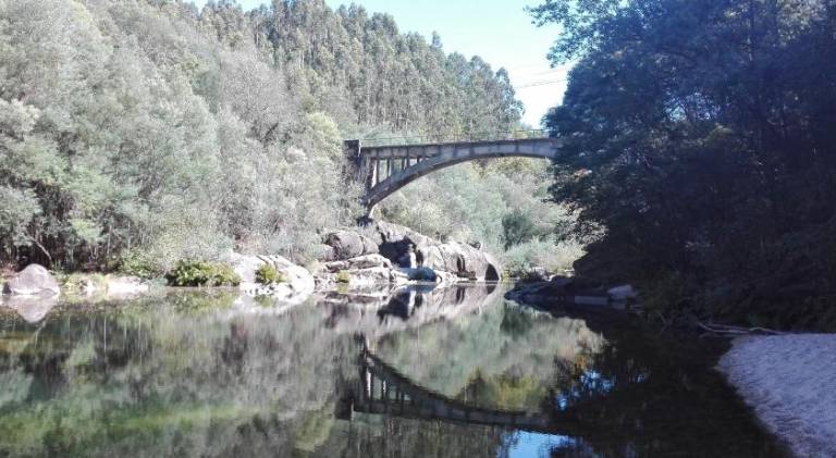 foto43