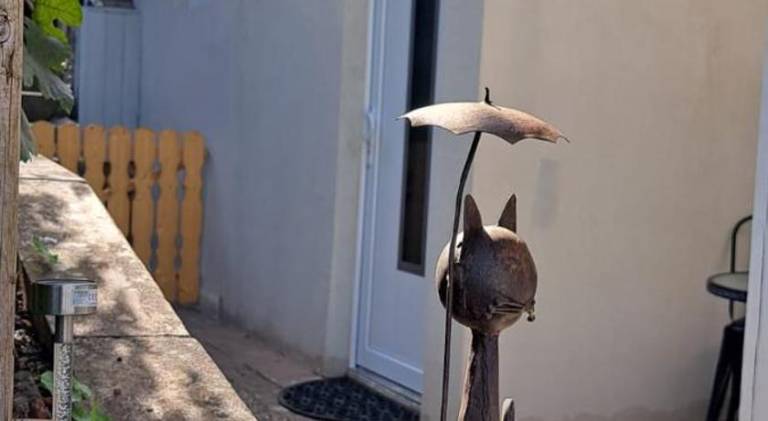 Rental apartment | Pets allowed in Neustadt an der Weinstrasse