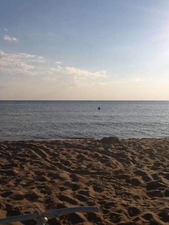 foto15
