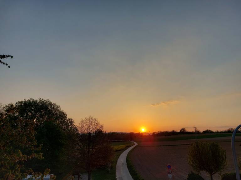 foto1
