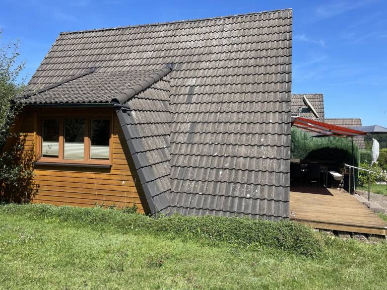 foto31