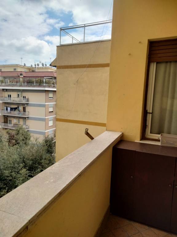 foto7