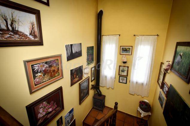 foto17