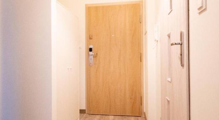 Beautiful rental apartment | Dogs allowed — photo 3