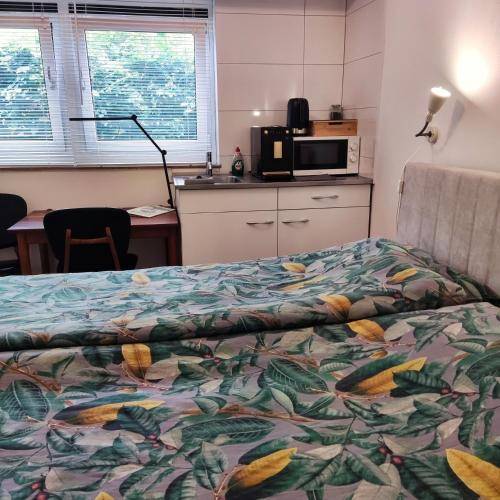 foto16