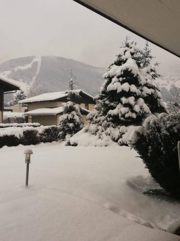 foto4