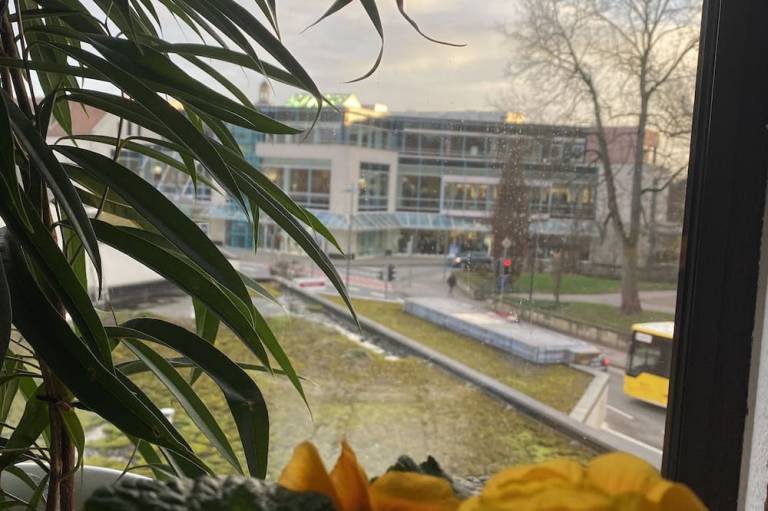 foto11