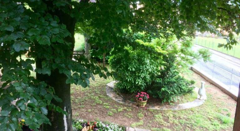 foto36
