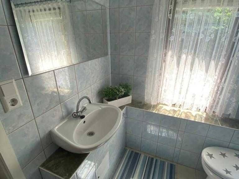 foto6