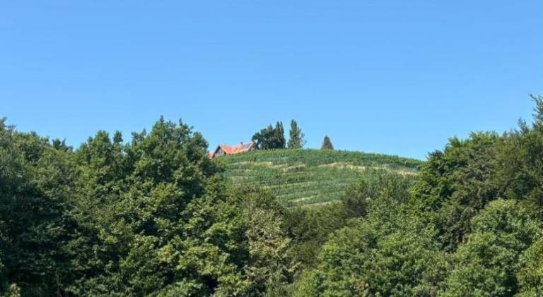 foto43