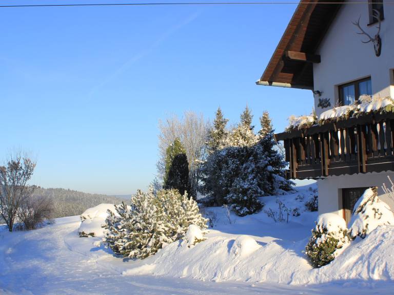 foto6