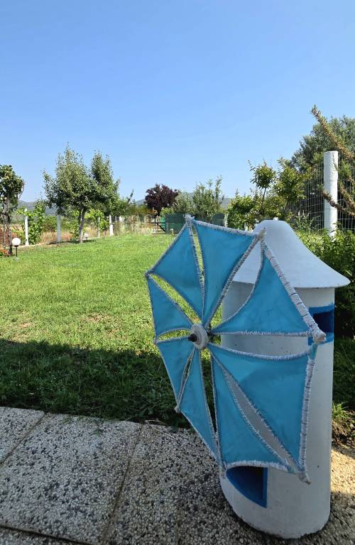 foto38