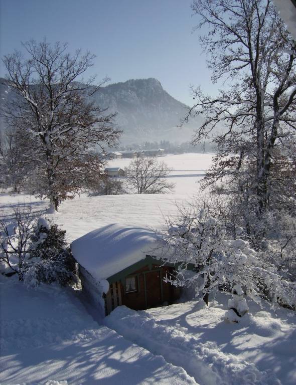 foto11