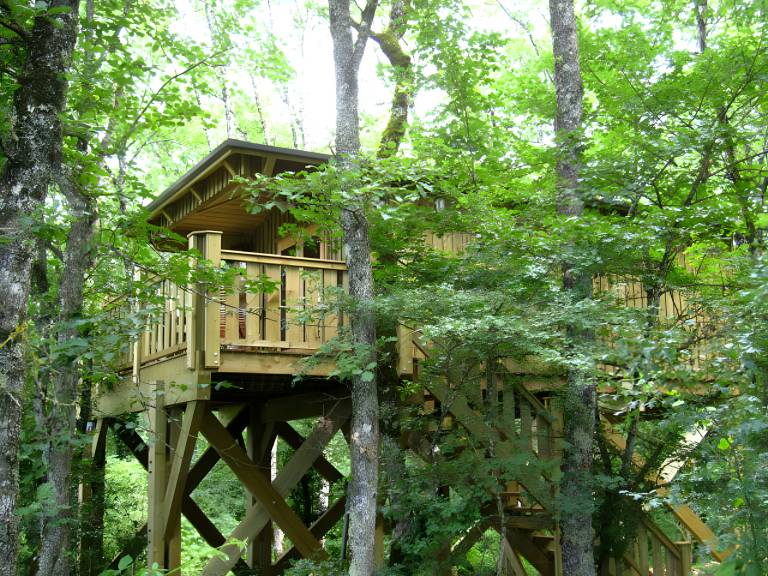Jurassic Treehouse Lodge: A Unique Adventure in Nature, One-of-a-Kind in France — photo 2