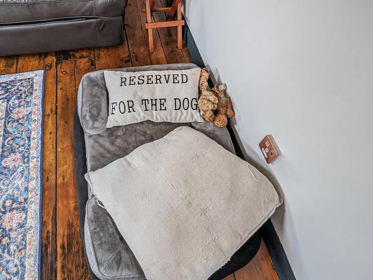 Family-friendly cottage with yard & grill | River view | Pet-friendly — photo 5