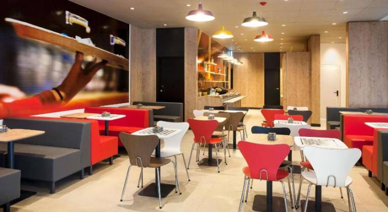 Ibis Paranagua — photo 3