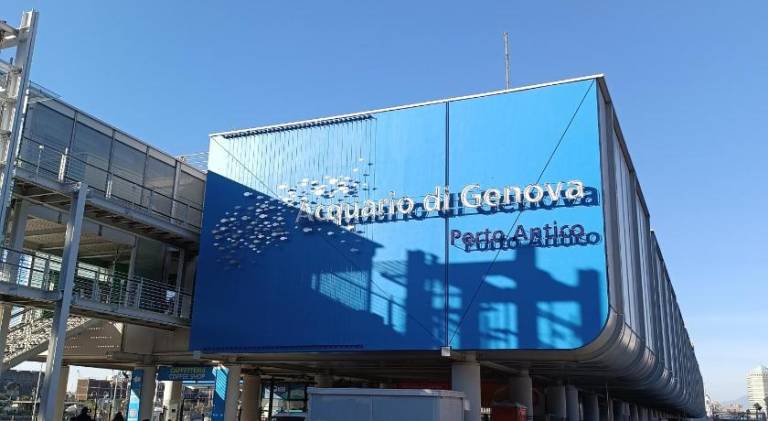 Appartamento Pietra di Mare, Porto Antico — photo 4