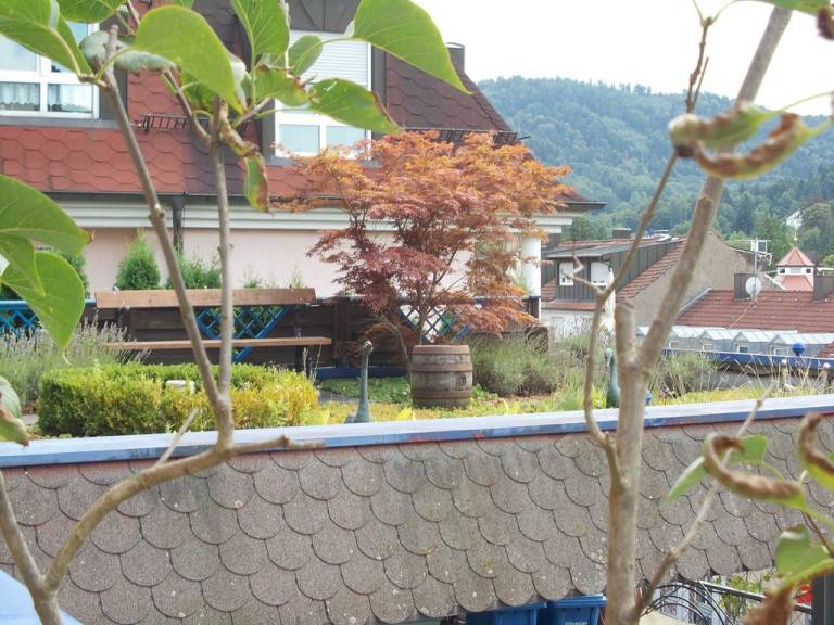 foto9