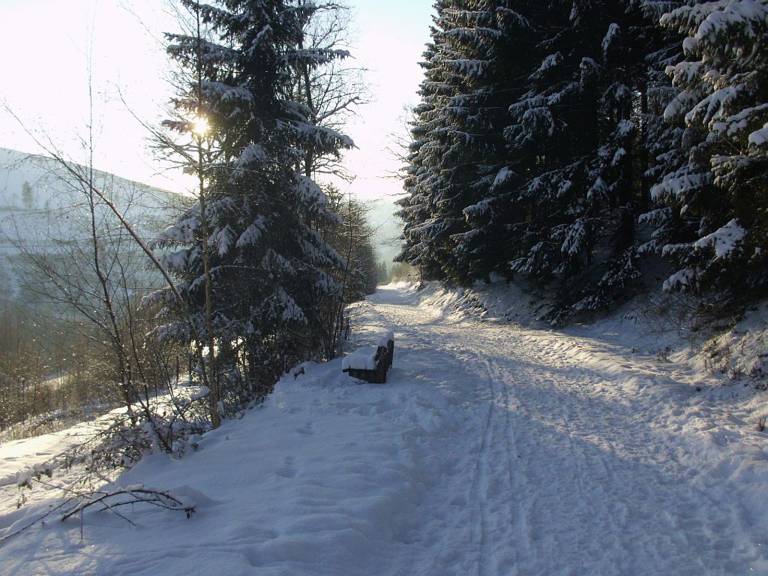 foto41