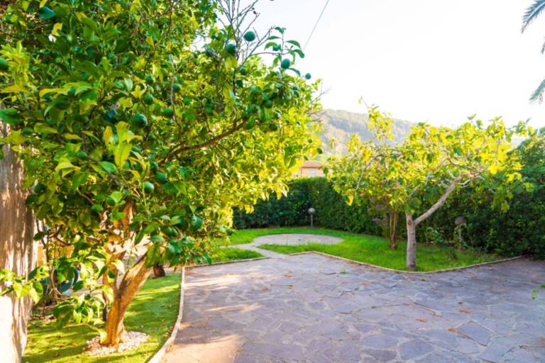 House with 1 room for 4 persons in Portoferraio