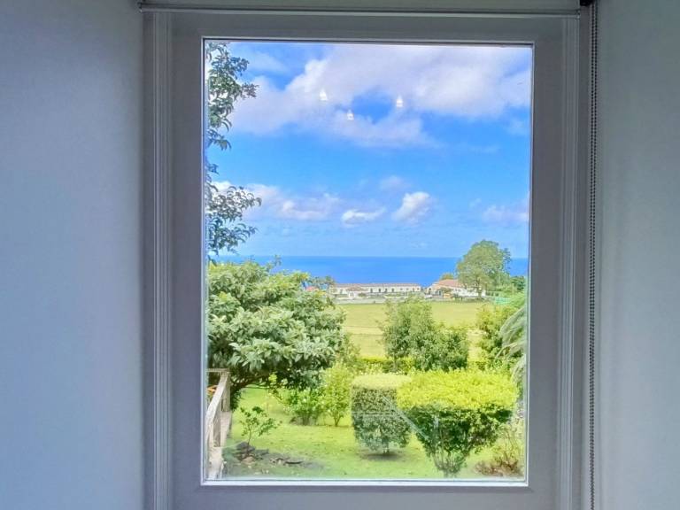 foto29