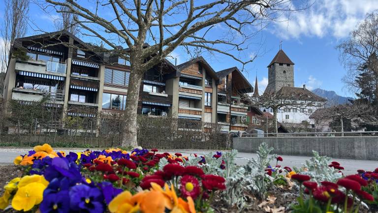 Ferienwohnung Thunersee