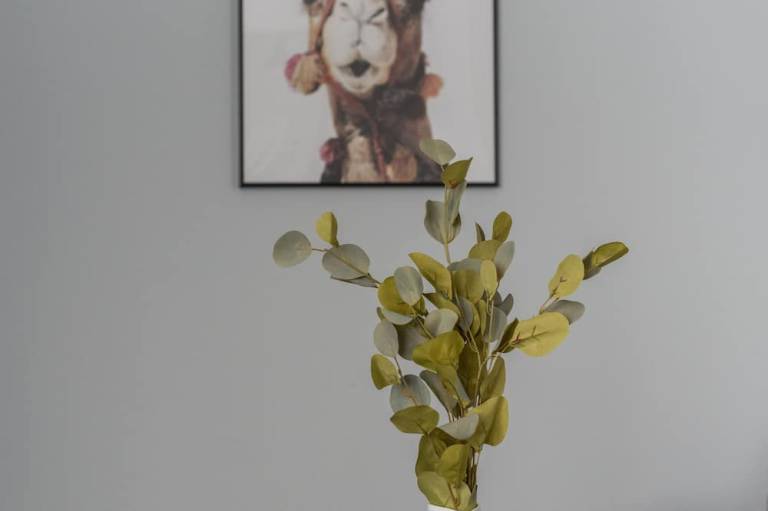foto29