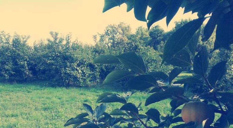 foto9