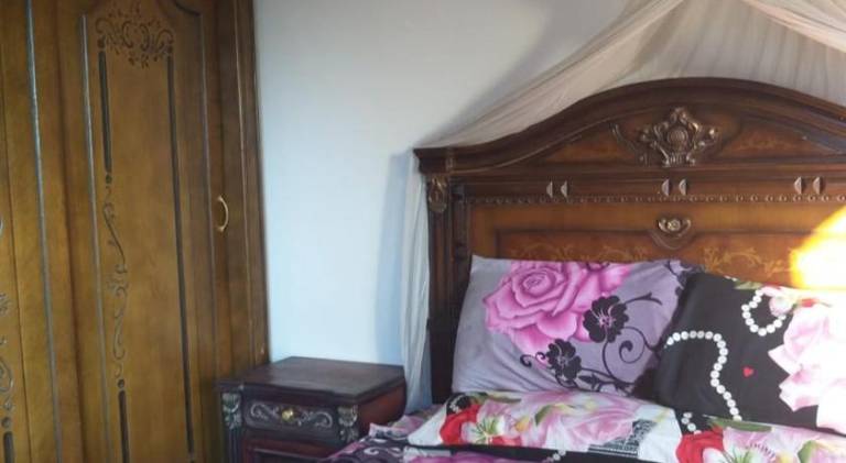 Ziggy Marley Backpackers Hostel — photo 5