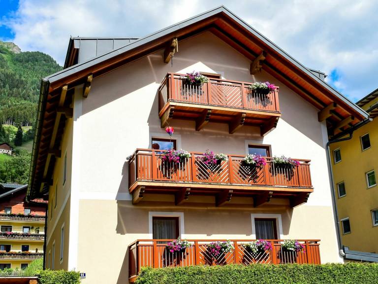 Ferienwohnung Bad Hofgastein