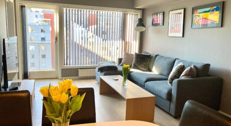 Modern 2 bedroom apartment in Oslo city centre in Oslo