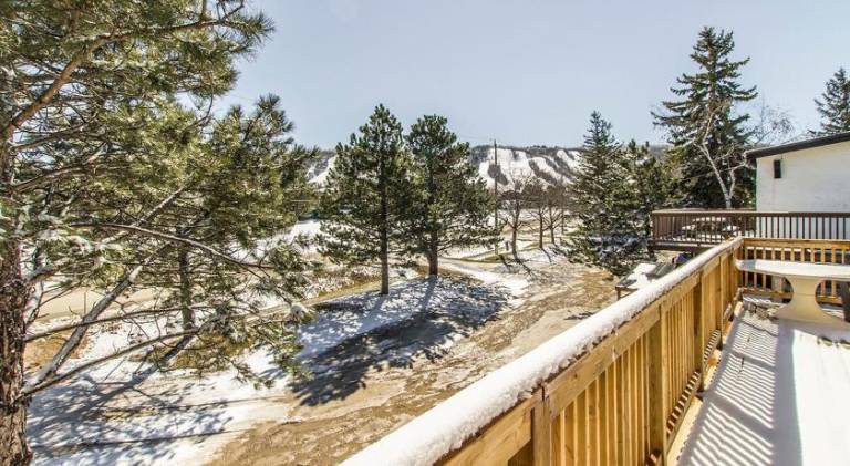 Northview-Blue Mountain-Sauna-Firepit-Balcony-Parking — photo 4