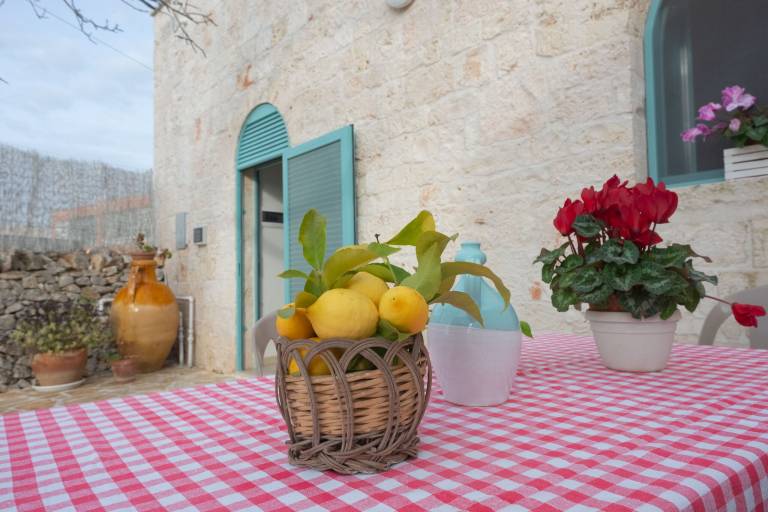 House with garden, terrace & BBQ — photo 2