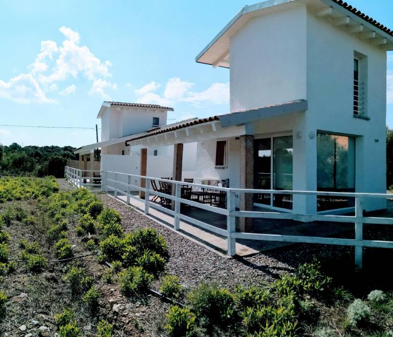 foto15