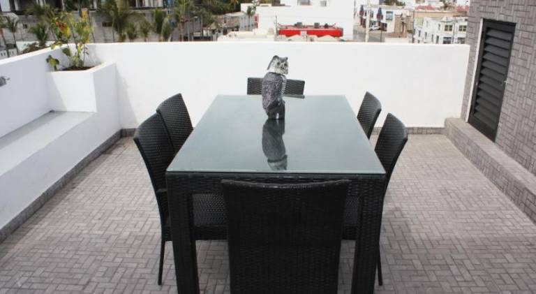 Apartment with pool | Pet-friendly — photo 5