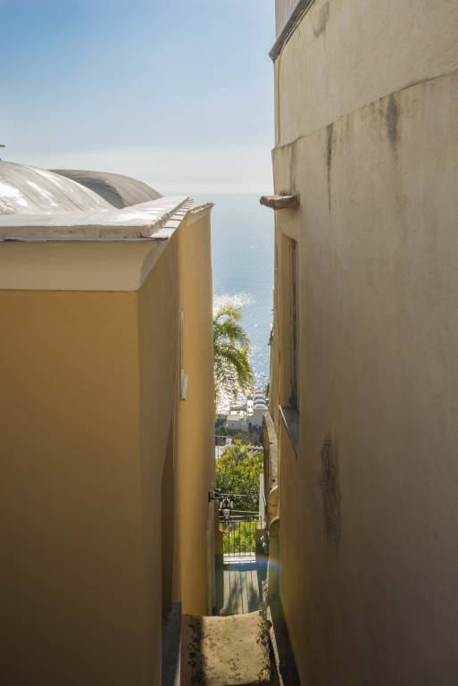foto41