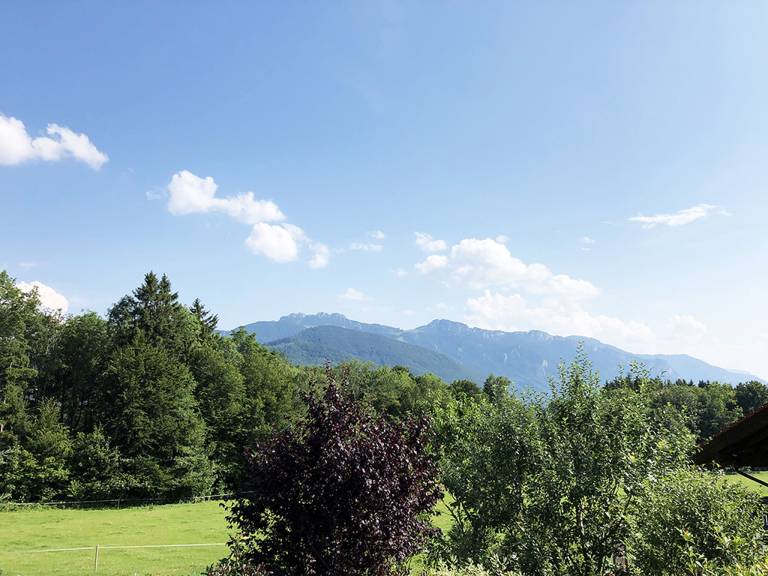 foto22