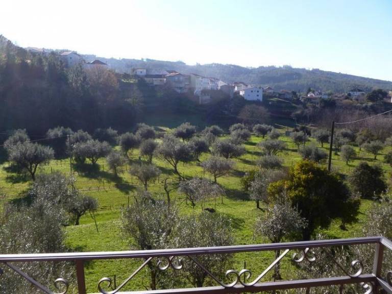 foto19