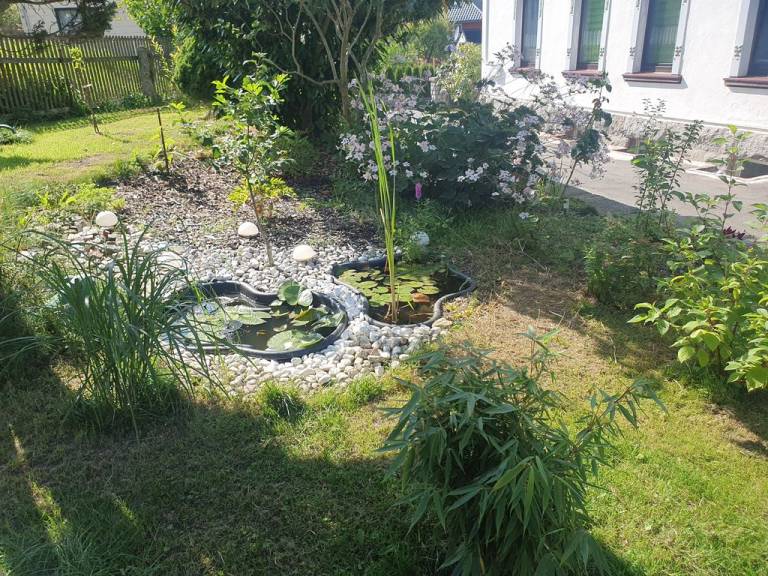 foto19